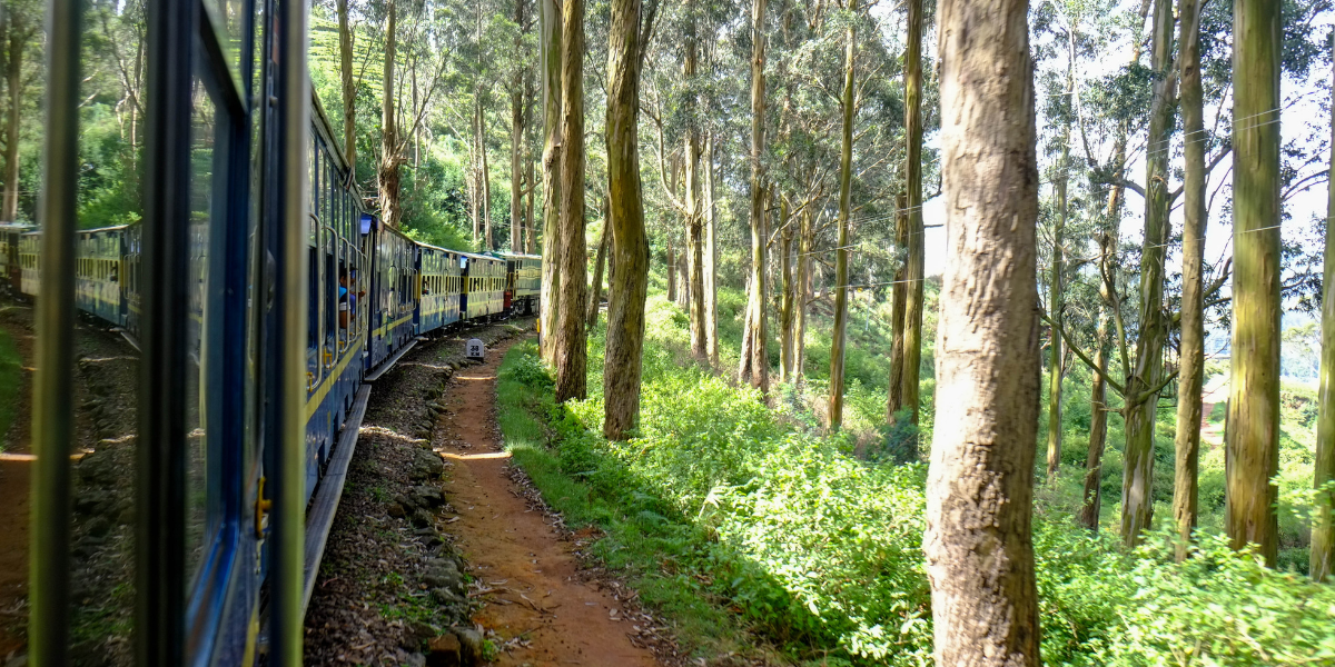 Most Beautiful Train Journeys in India You Must Take Once 26 Nilgiri Mountain Railway